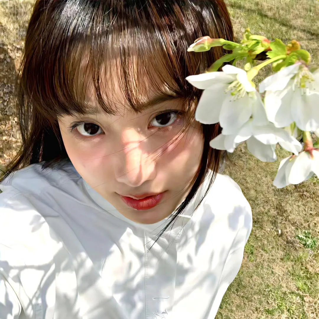 镜花缘